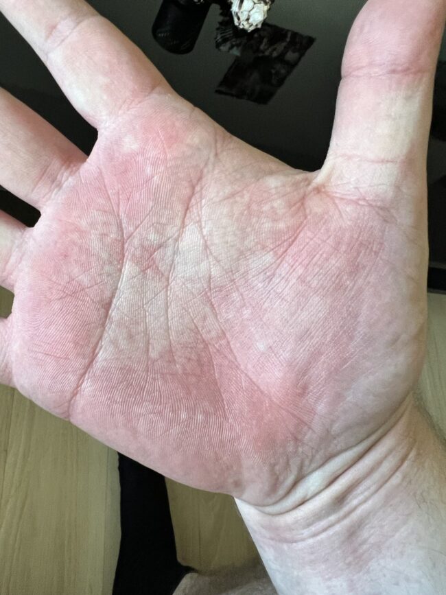 photo_5936135593736124599_y